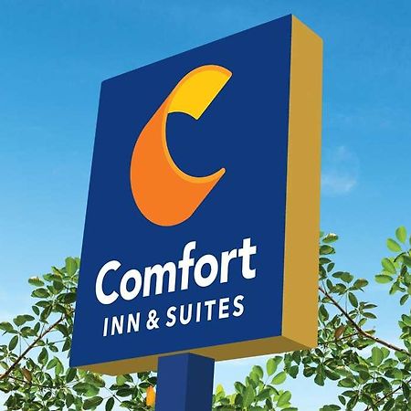 Comfort Inn & Suites Newark Liberty International Airport Exterior foto